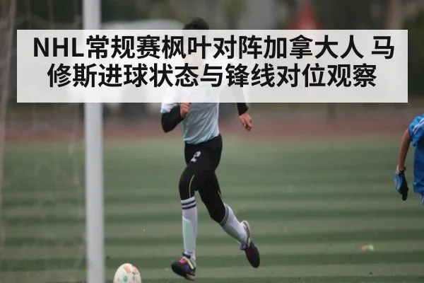 NHL常规赛枫叶对阵加拿大人 马修斯进球状态与锋线对位观察